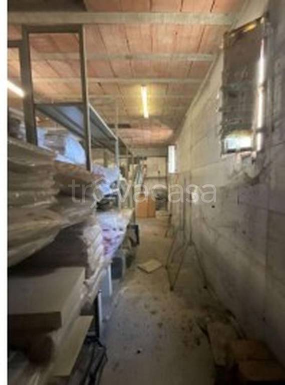 immagine annuncio 9 di 12