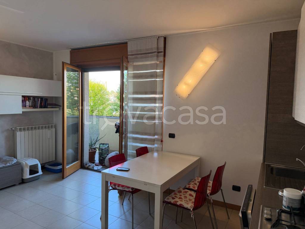 immagine annuncio 6 di 15