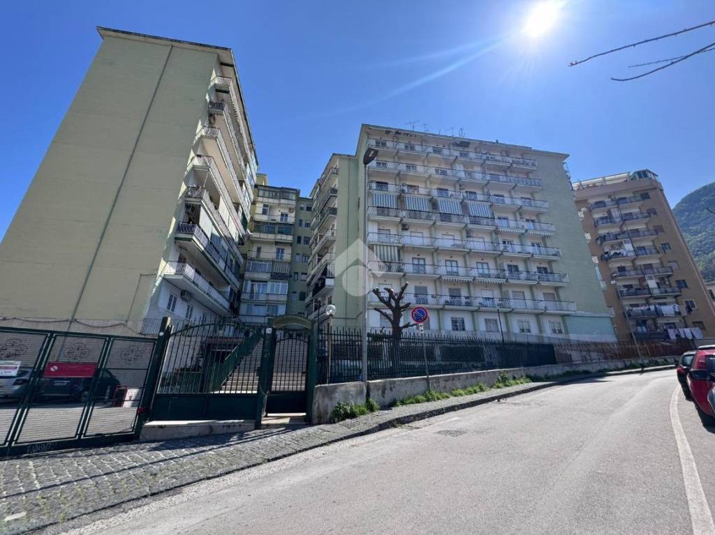 immagine annuncio 4 di 9