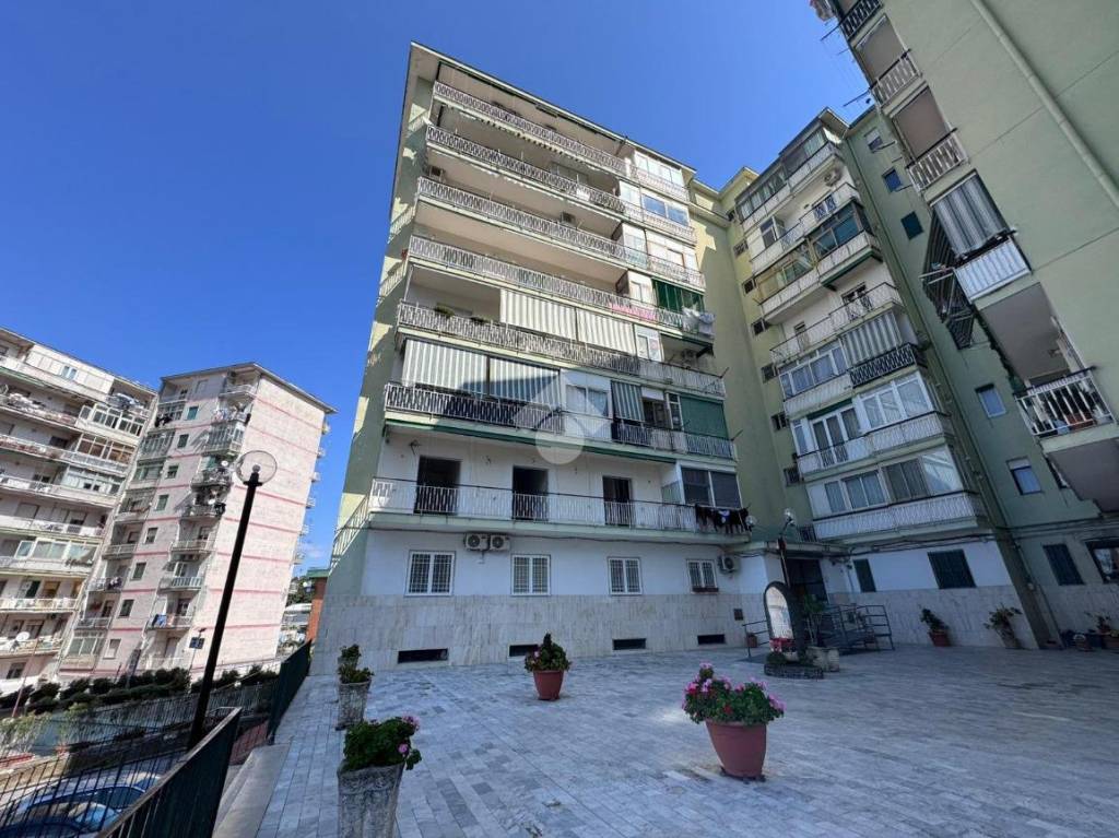 immagine annuncio 7 di 9