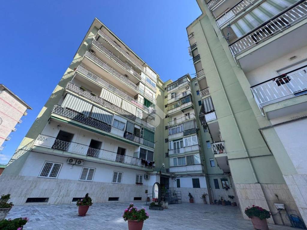 immagine annuncio 8 di 9