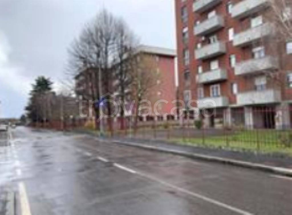 immagine annuncio 5 di 11