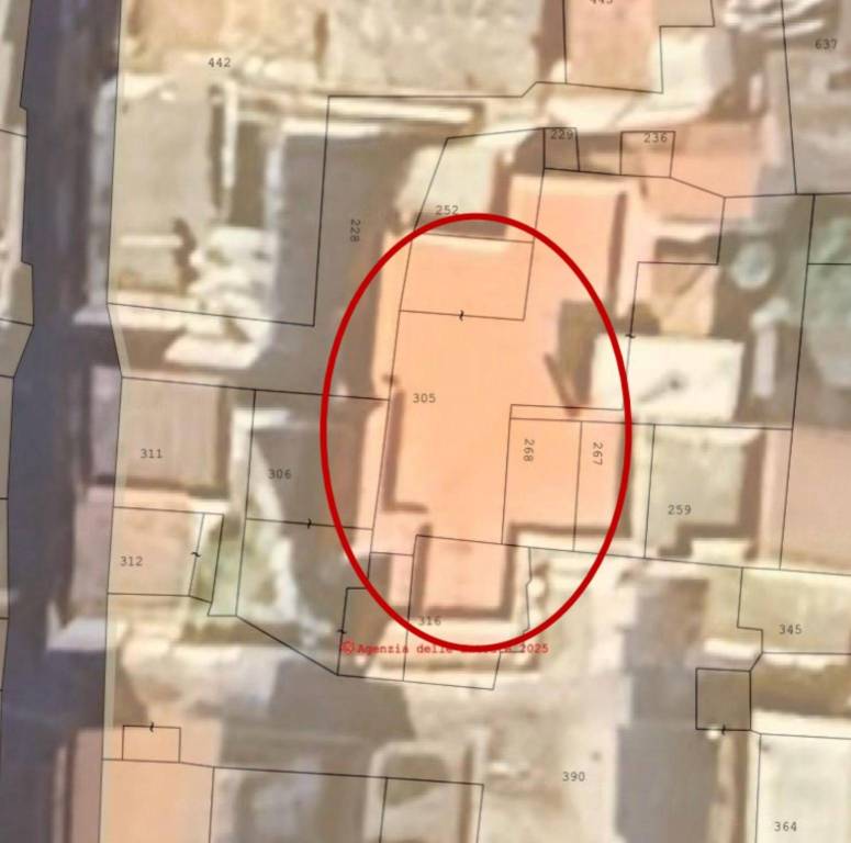 immagine annuncio 6 di 11