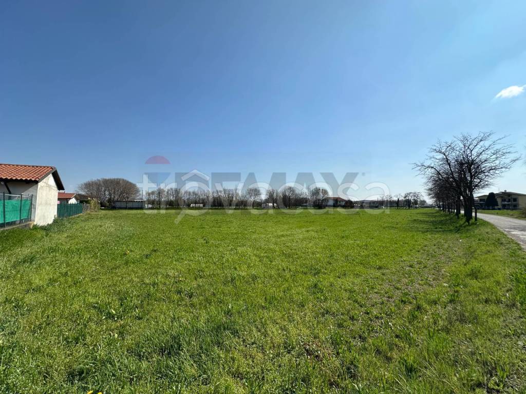 immagine annuncio 5 di 12