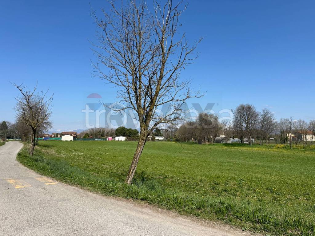 immagine annuncio 7 di 12