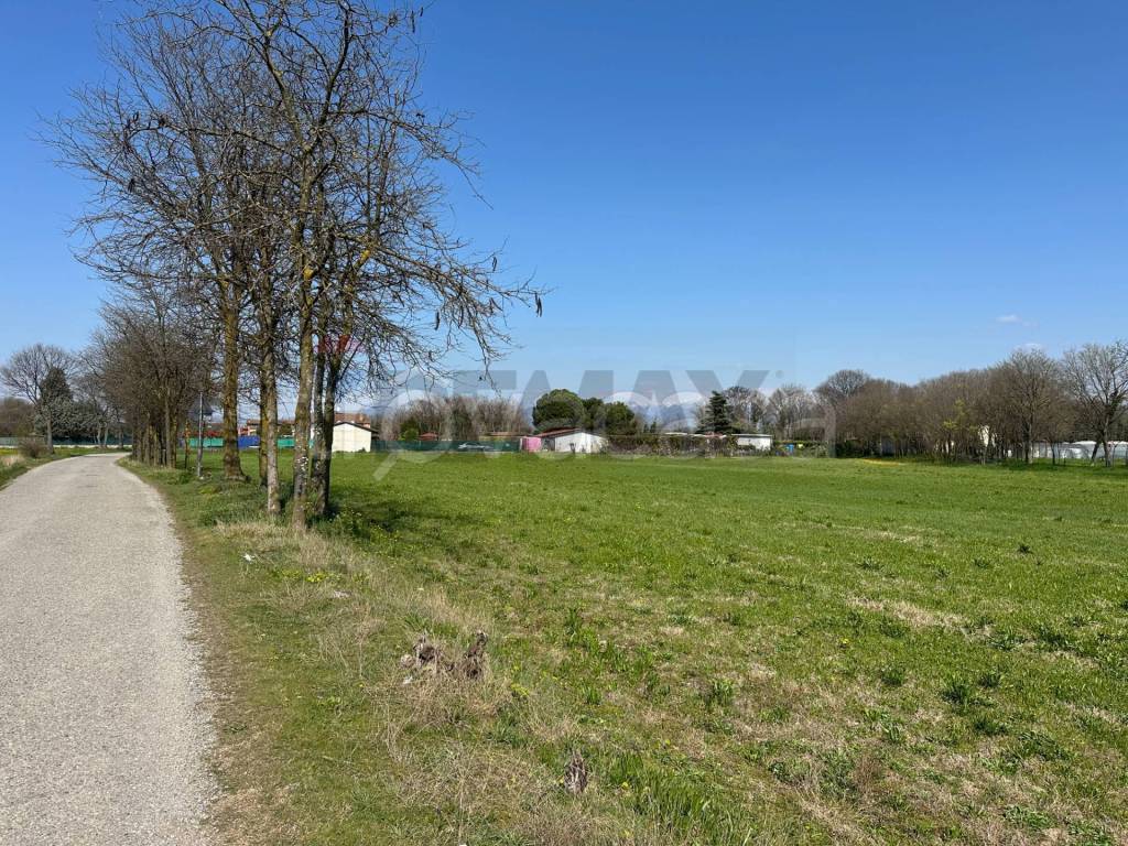 immagine annuncio 8 di 12