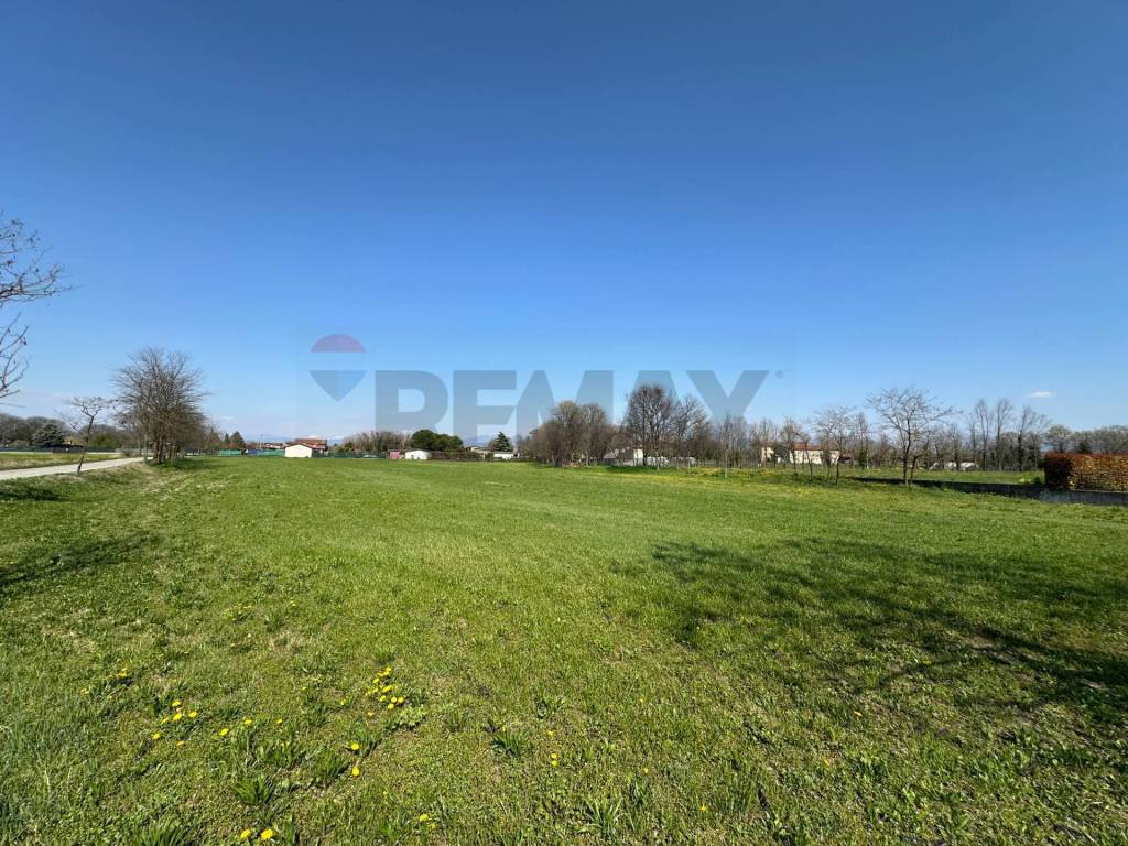 immagine annuncio 10 di 12