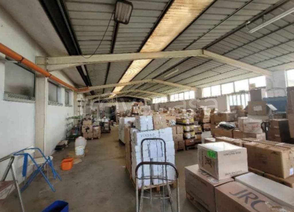 immagine annuncio 3 di 11