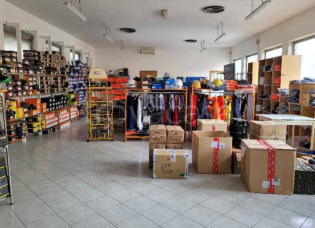 immagine annuncio 6 di 11