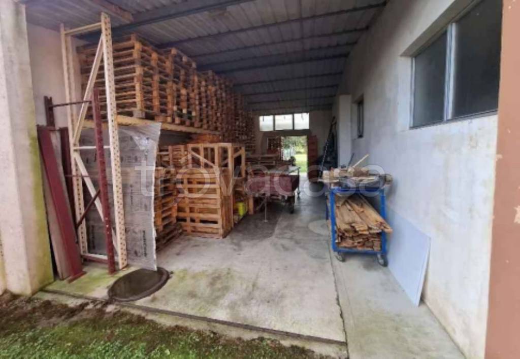 immagine annuncio 8 di 11