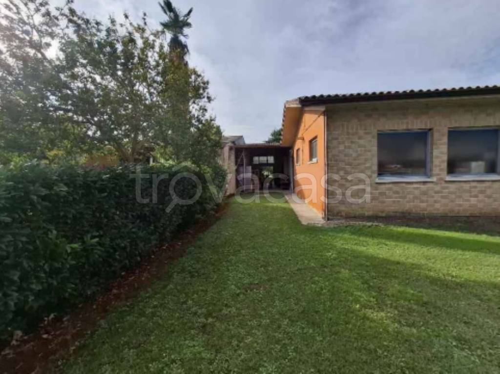 immagine annuncio 9 di 11