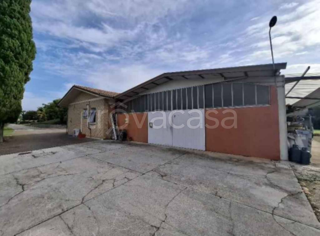 immagine annuncio 10 di 11