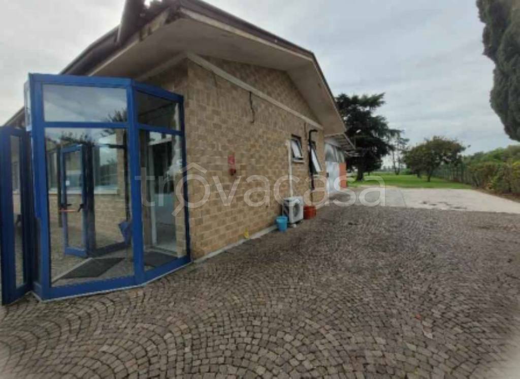 immagine annuncio 4 di 11