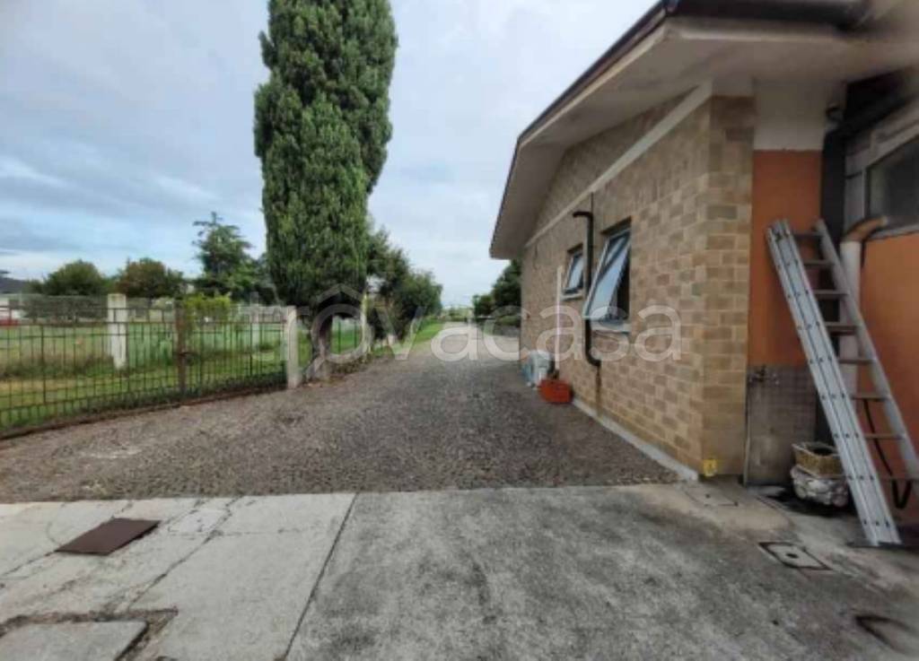 immagine annuncio 1 di 11