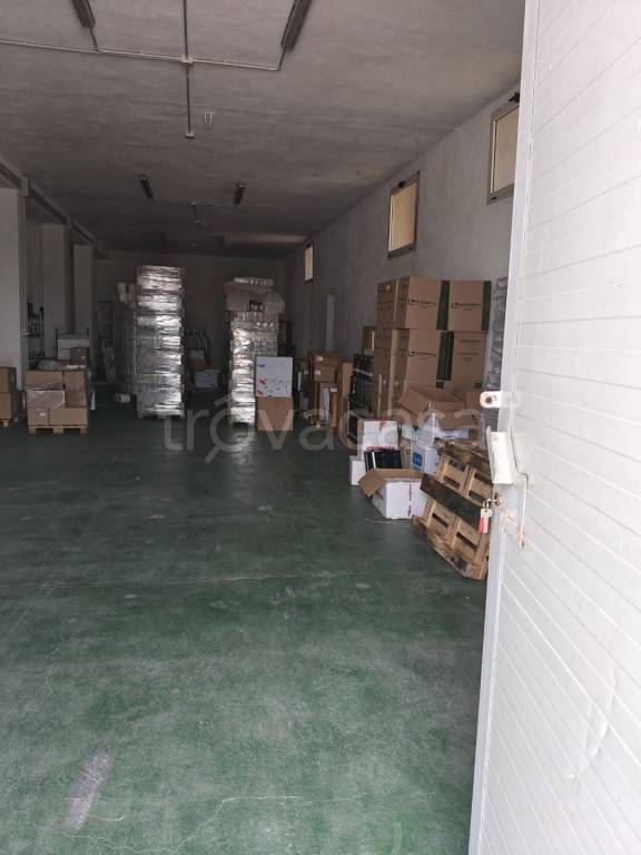 immagine annuncio 2 di 11