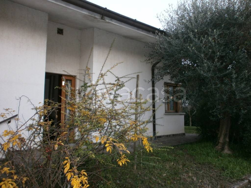 immagine annuncio 5 di 14