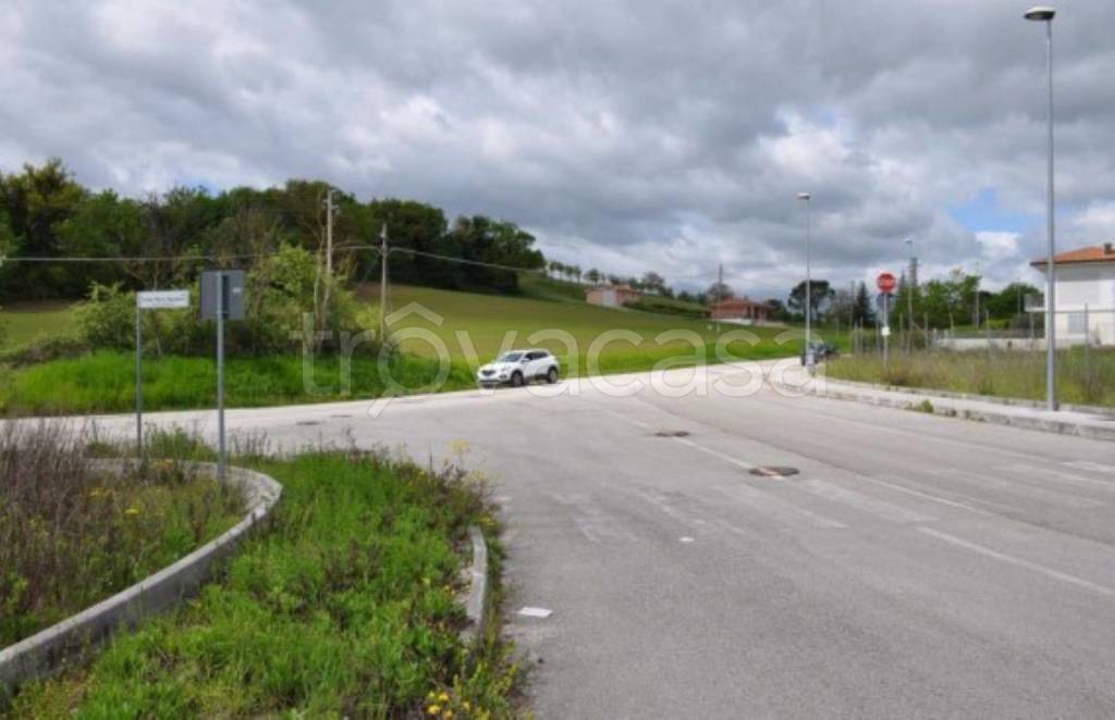 immagine annuncio 2 di 11