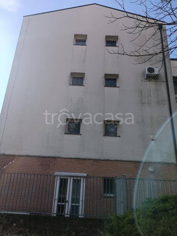 immagine annuncio 7 di 14