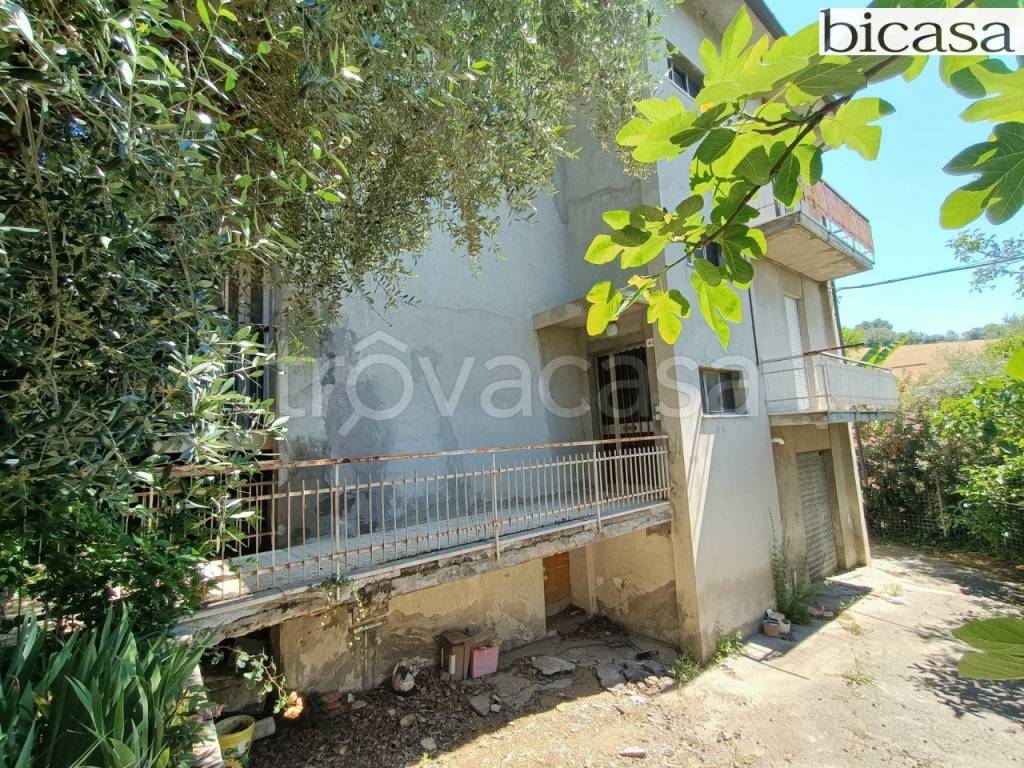 immagine annuncio 6 di 11