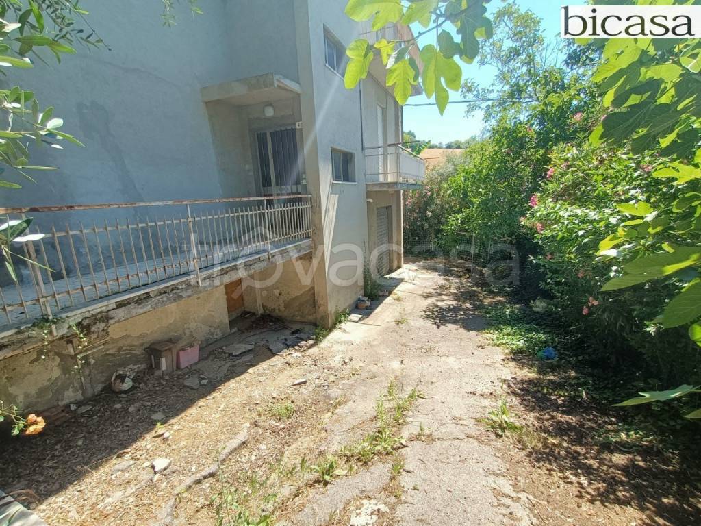 immagine annuncio 7 di 11