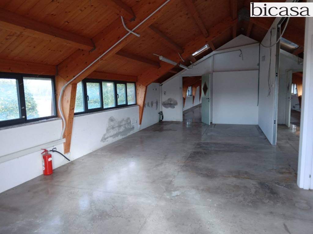 immagine annuncio 2 di 6