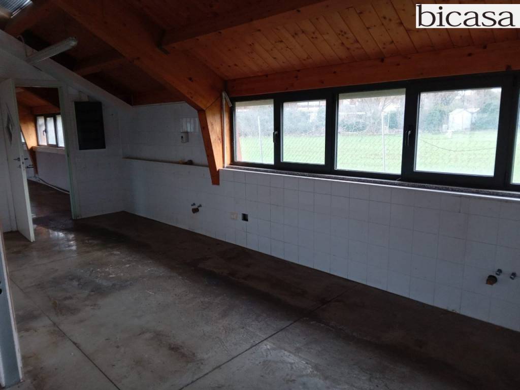 immagine annuncio 3 di 6