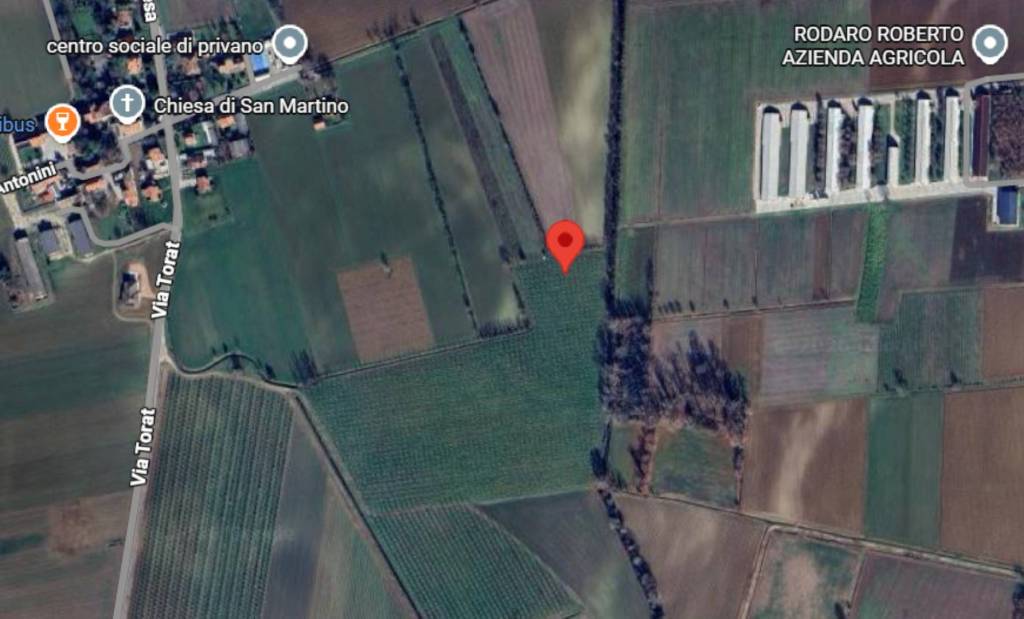 immagine annuncio 9 di 11