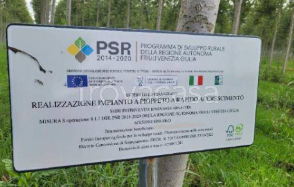 immagine annuncio 5 di 11