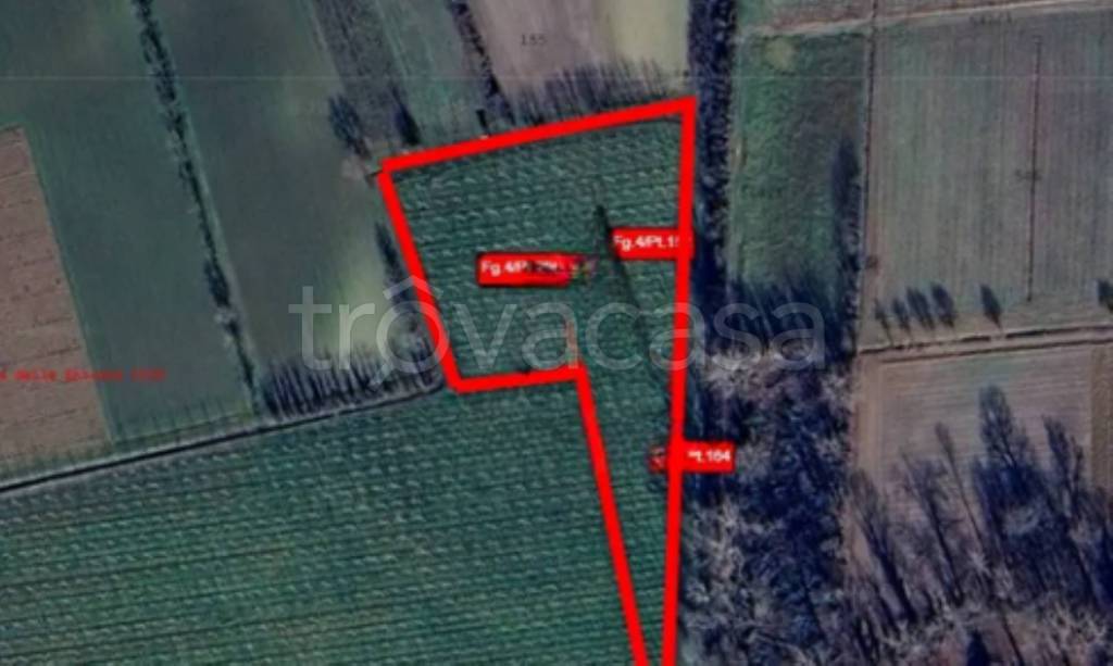 immagine annuncio 4 di 11