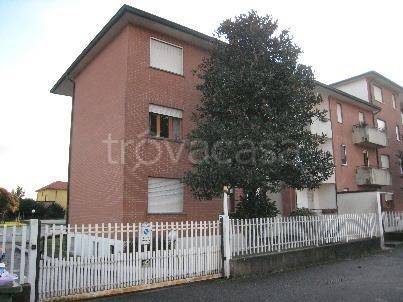 immagine annuncio 6 di 14