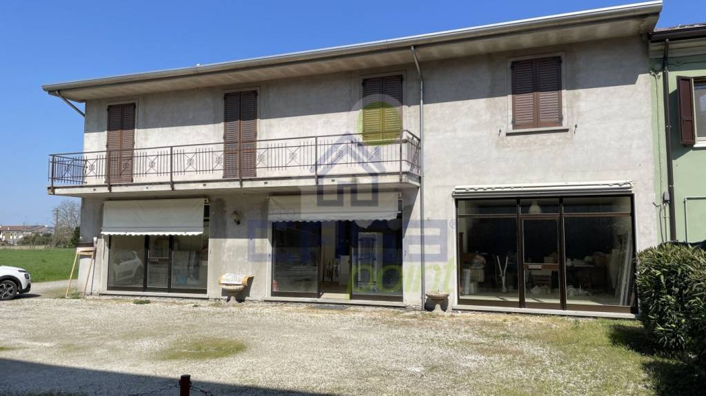 immagine annuncio 2 di 14