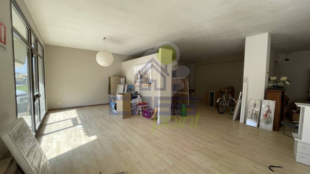 immagine annuncio 6 di 14