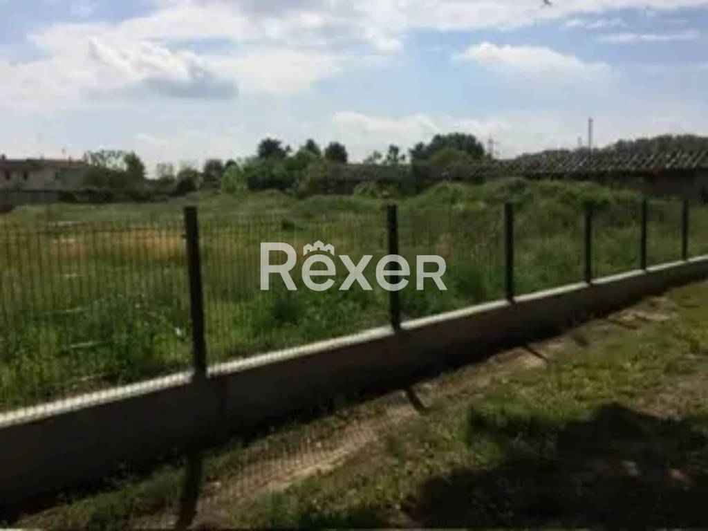 immagine annuncio 6 di 13