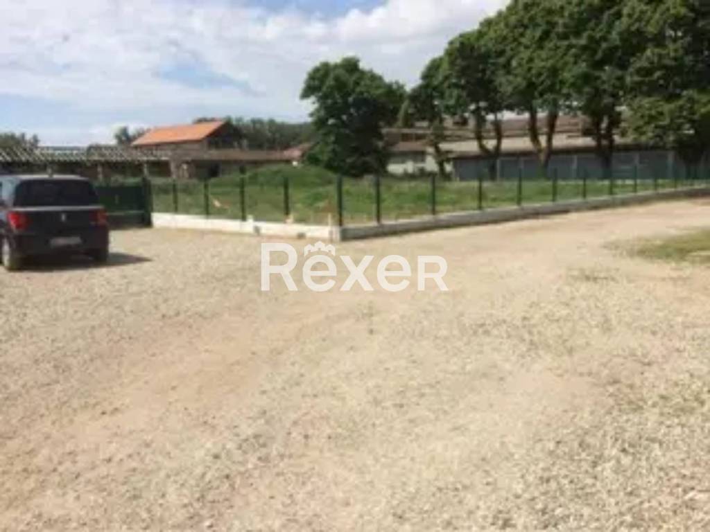 immagine annuncio 9 di 13