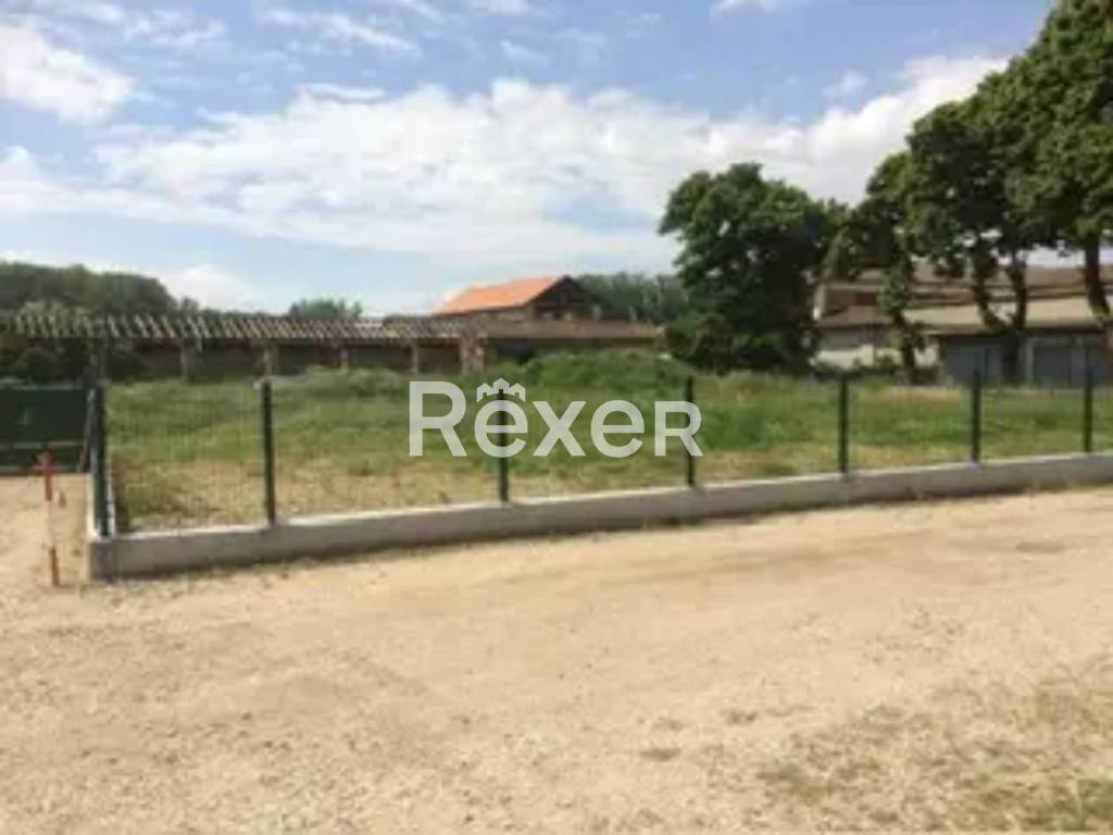 immagine annuncio 11 di 13