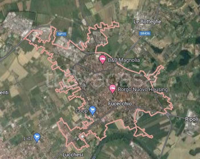 immagine annuncio 12 di 15