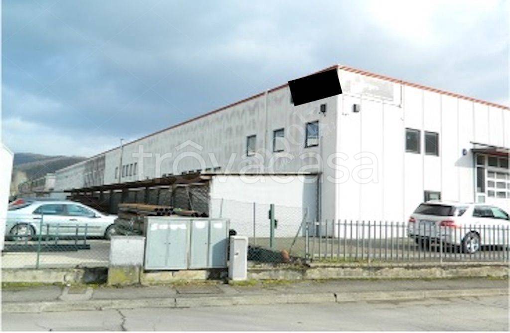 immagine annuncio 4 di 6