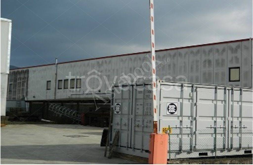 immagine annuncio 5 di 6