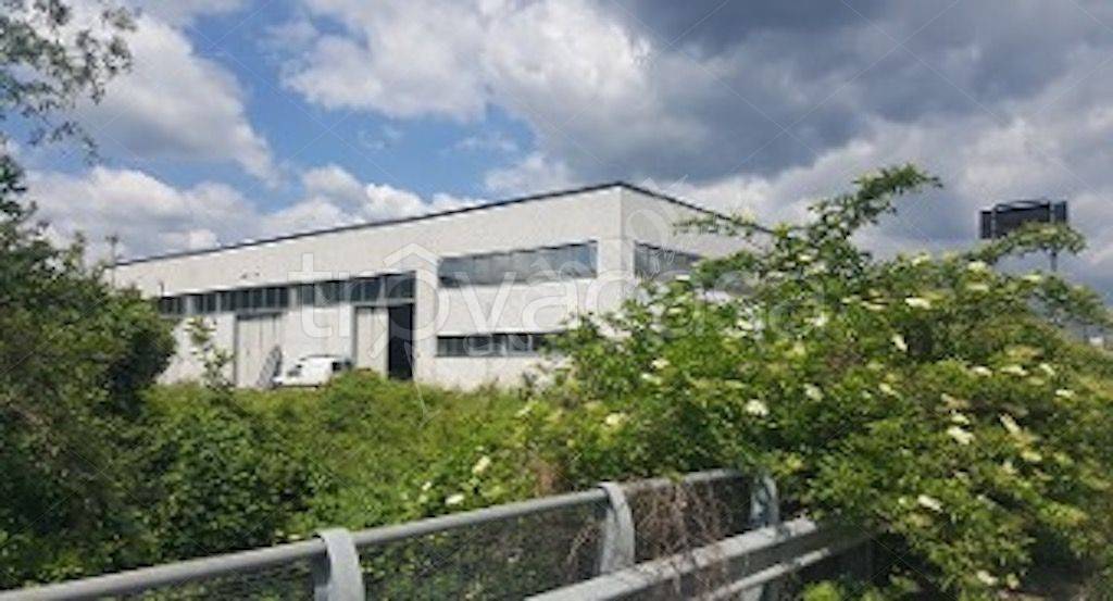 immagine annuncio 8 di 15