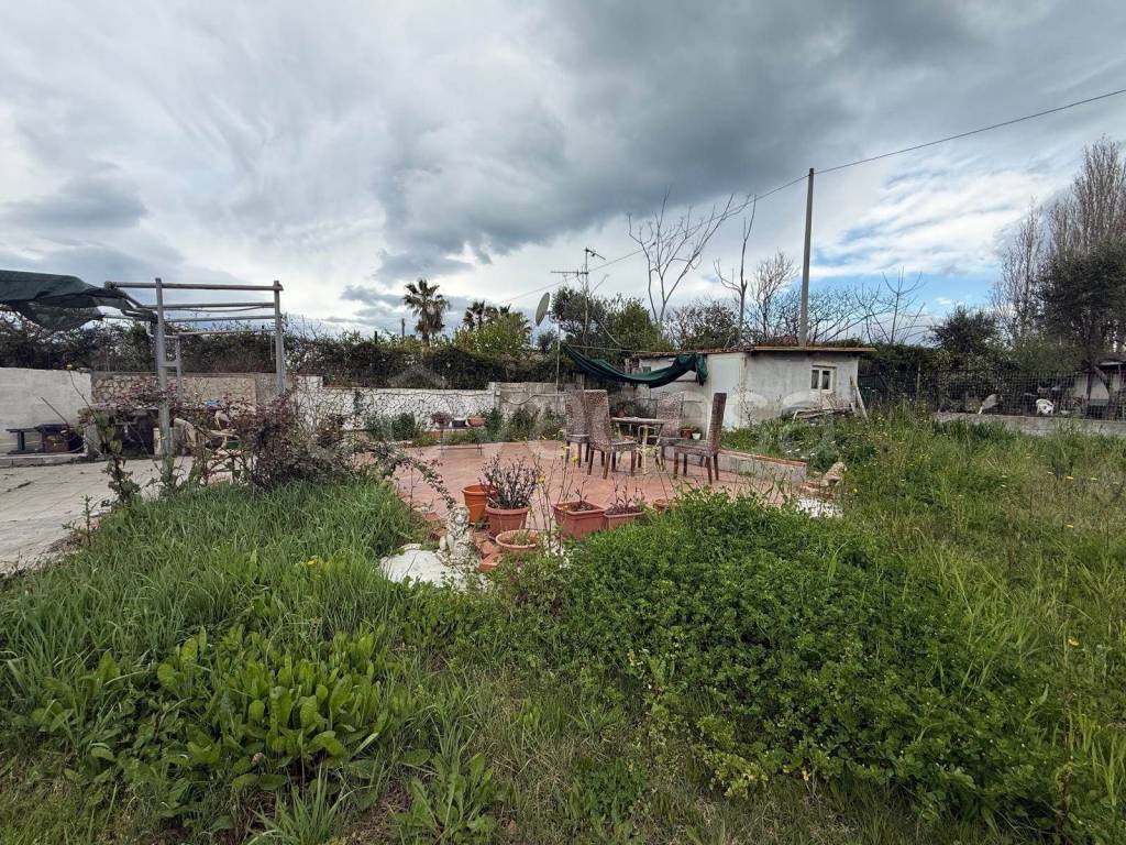 immagine annuncio 3 di 12