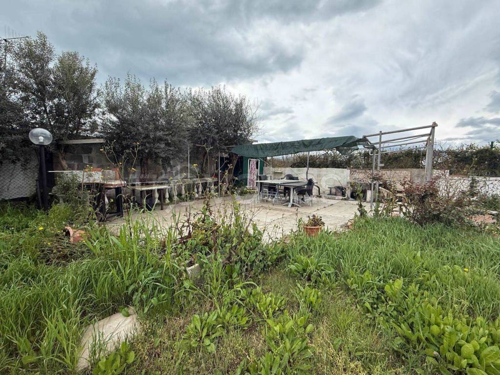 immagine annuncio 4 di 12