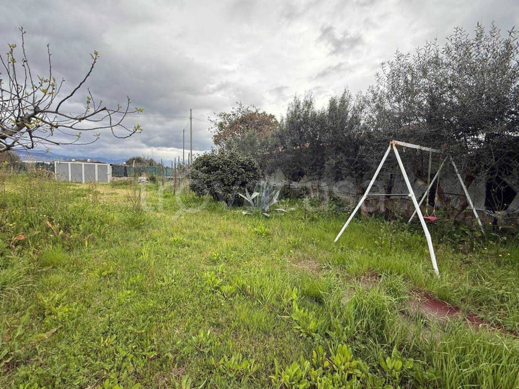 immagine annuncio 5 di 12