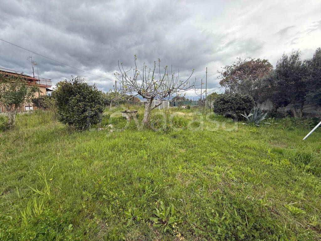 immagine annuncio 6 di 12