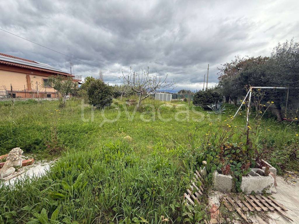 immagine annuncio 8 di 12