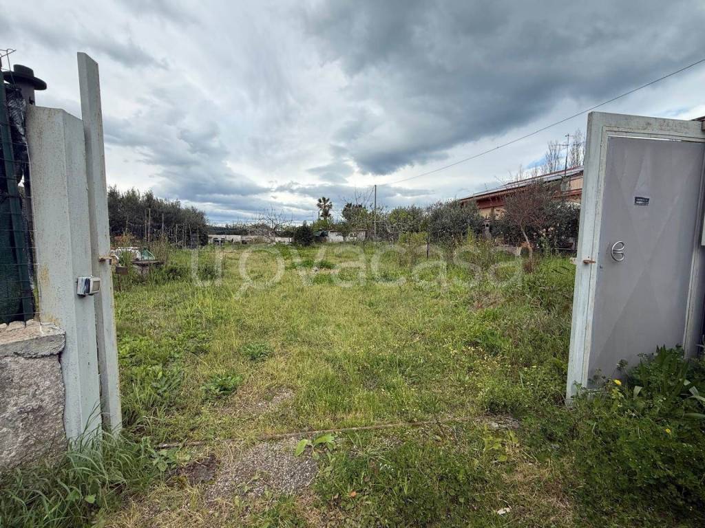 immagine annuncio 9 di 12