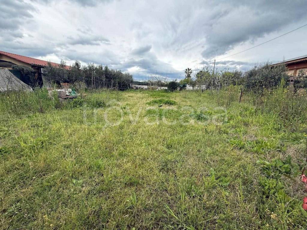 immagine annuncio 10 di 12