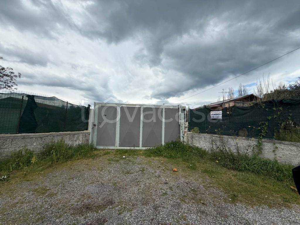 immagine annuncio 11 di 12