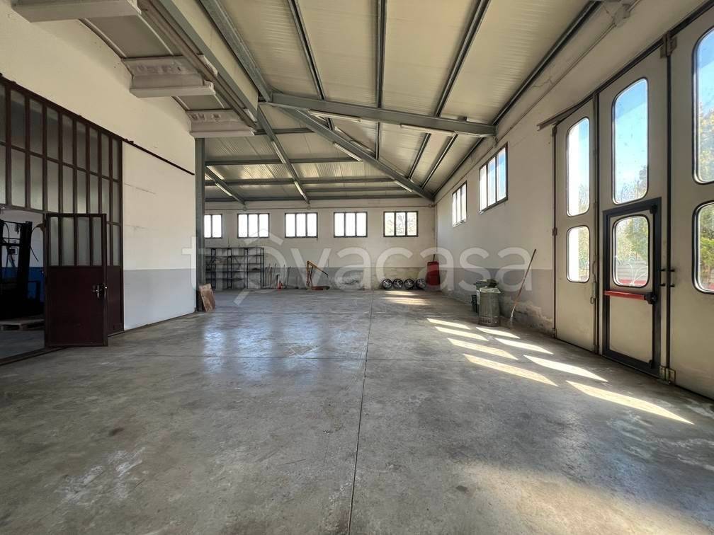 immagine annuncio 7 di 14