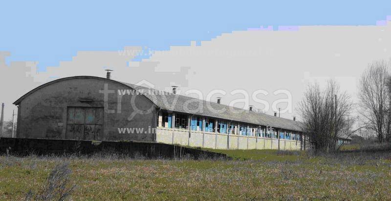 immagine annuncio 1 di 7