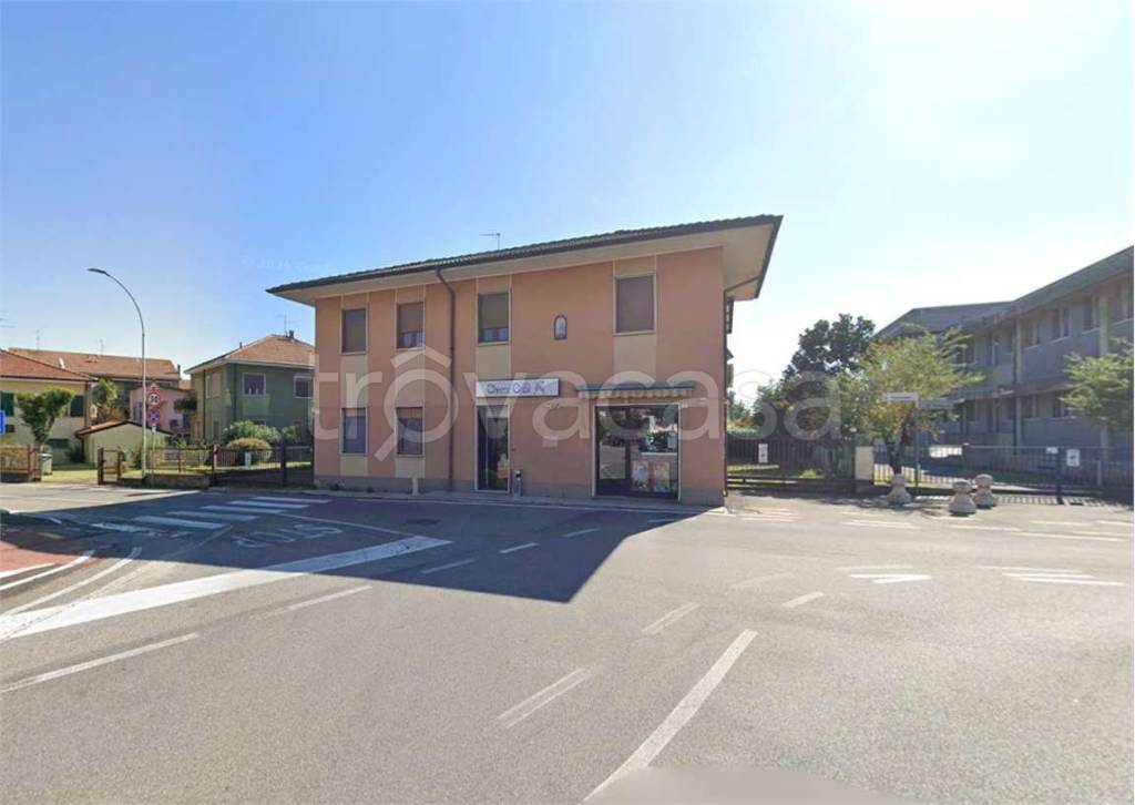 immagine annuncio 3 di 15